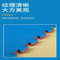 圖片15